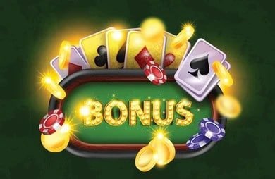 229 bet