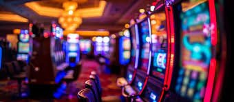 229 bet
