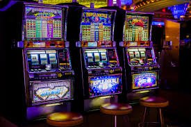 229 bet